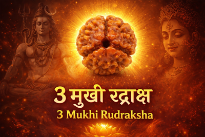3 Mukhi Rudraksha