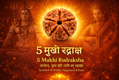 5 Mukhi Rudraksha