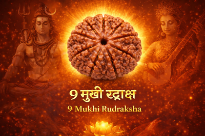 9 Mukhi Rudraksha