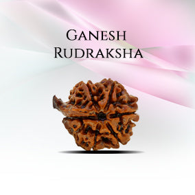 Ganesh Rudraksha