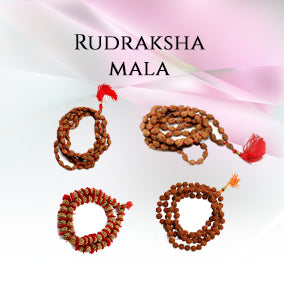 Rudraksha Malas / Jaap