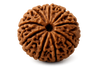 big size rudraksha pic background less