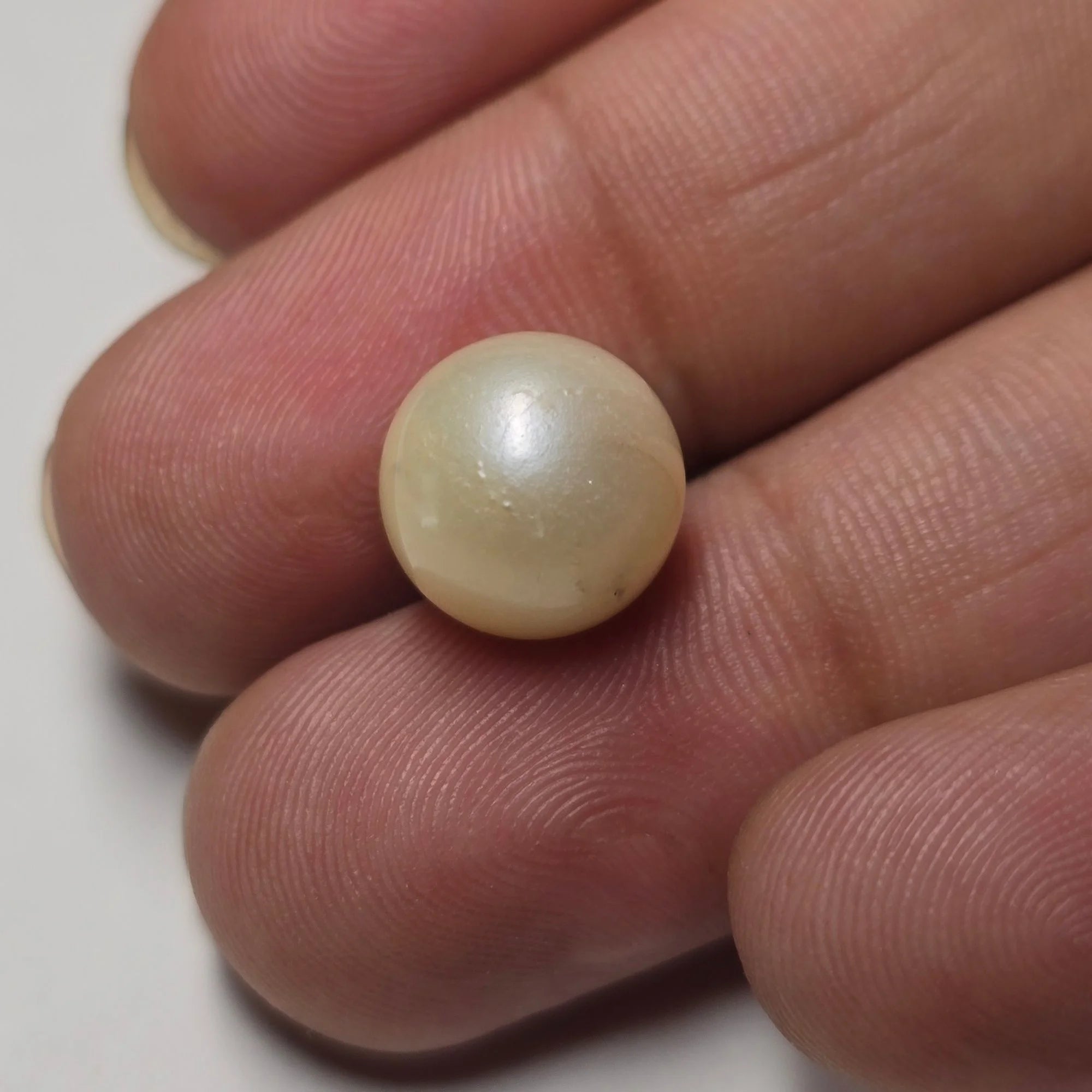 Natural South Sea Pearl (Moti) - 7.68 Carat, White Gemstone