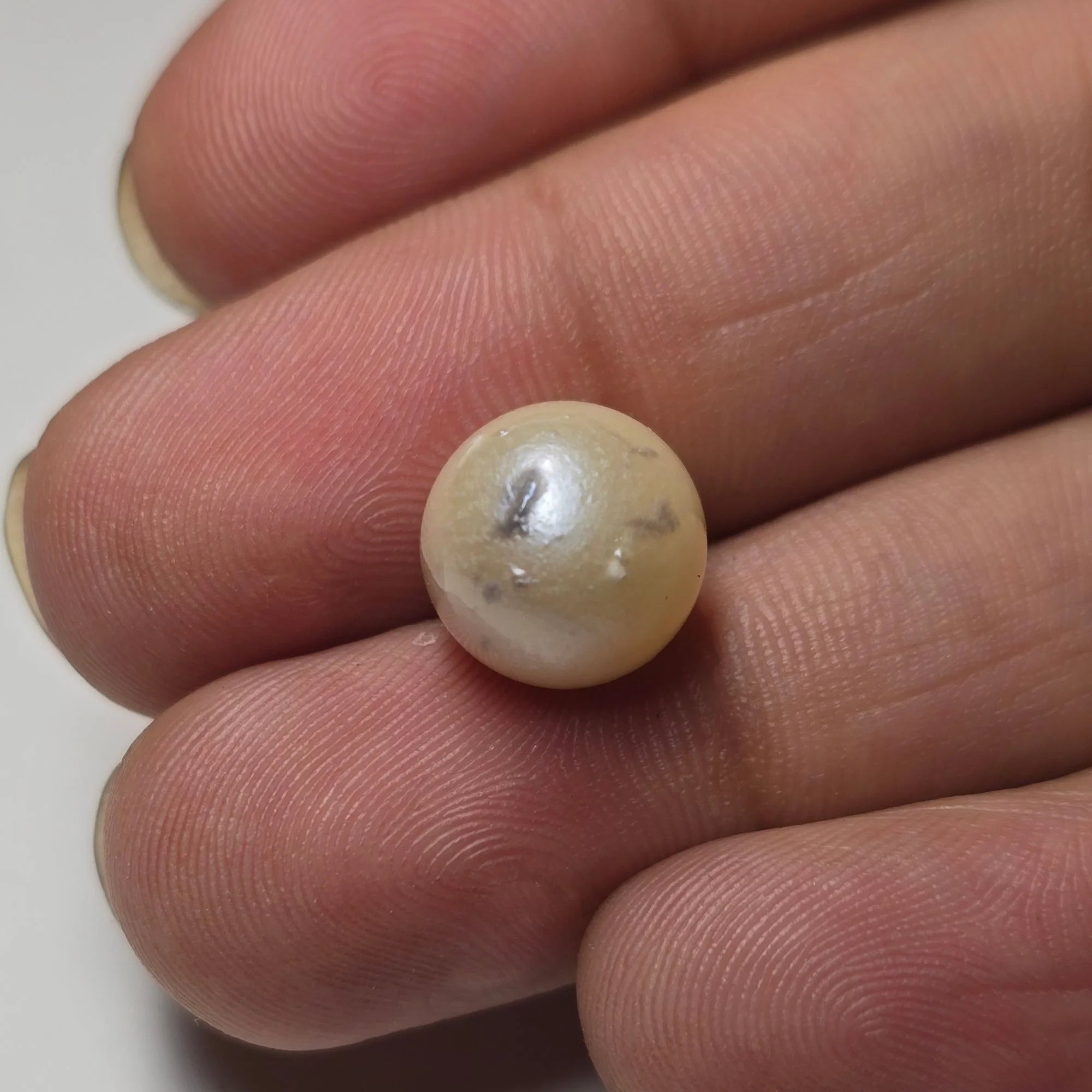 Natural South Sea Pearl (Moti) - 7.68 Carat, White Gemstone