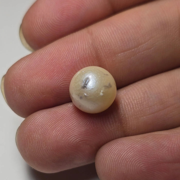 Natural South Sea Pearl (Moti) - 7.68 Carat, White Gemstone