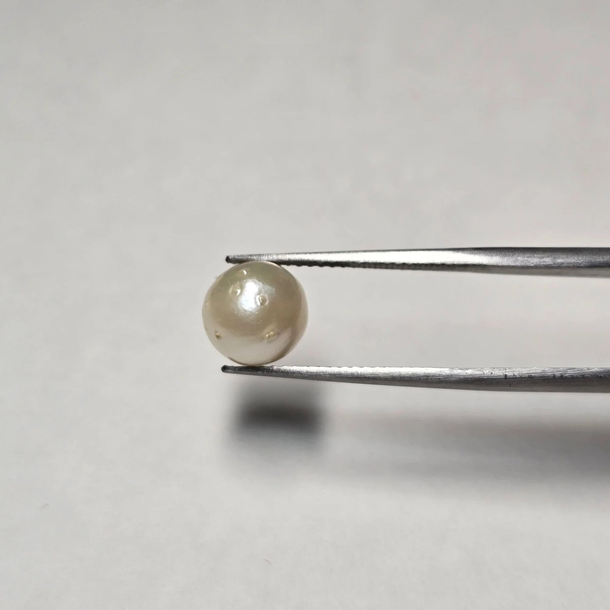 Natural South Sea Pearl 3.72 Carat | Certified Moti