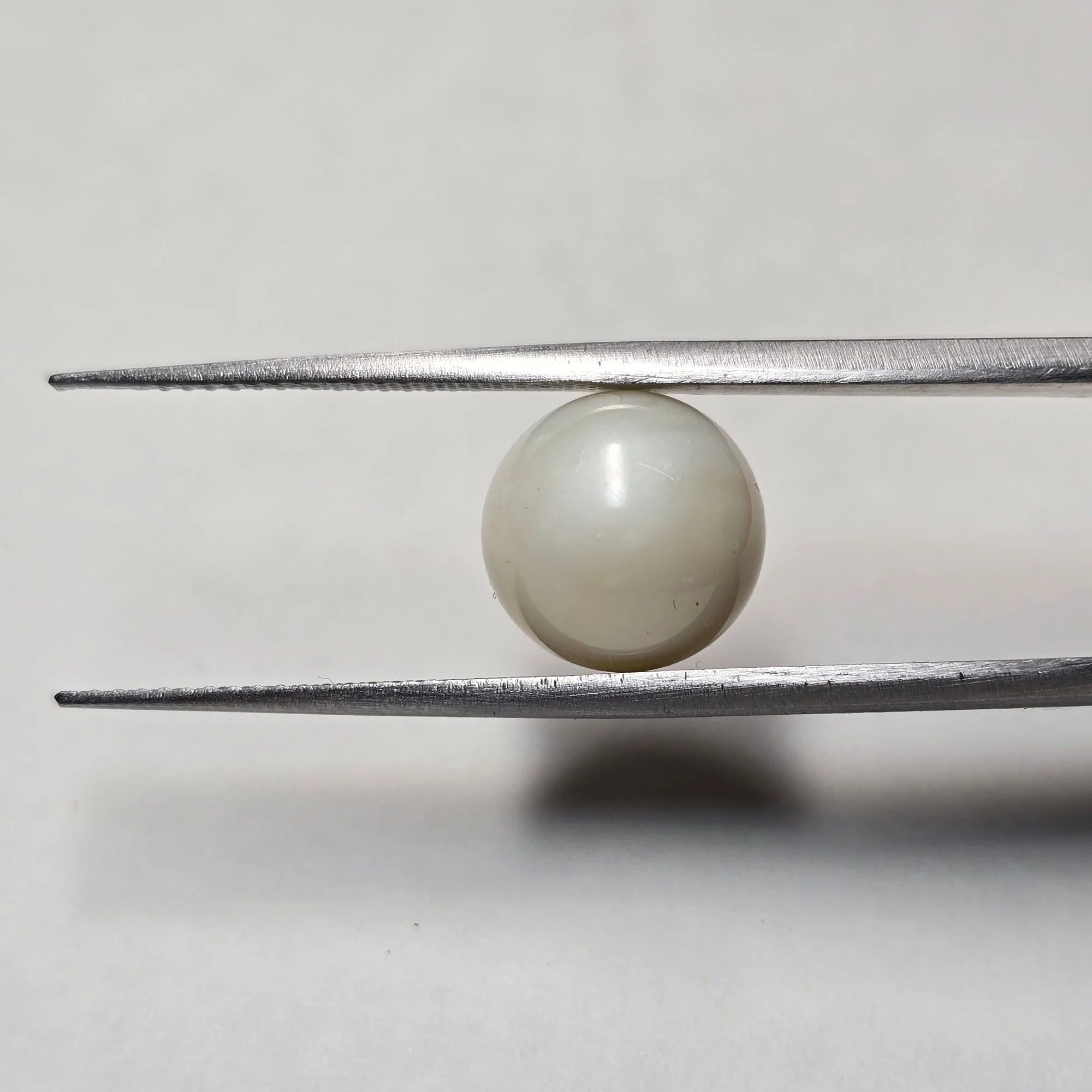 Natural South Sea Pearl (Moti) - 7.89 Carats