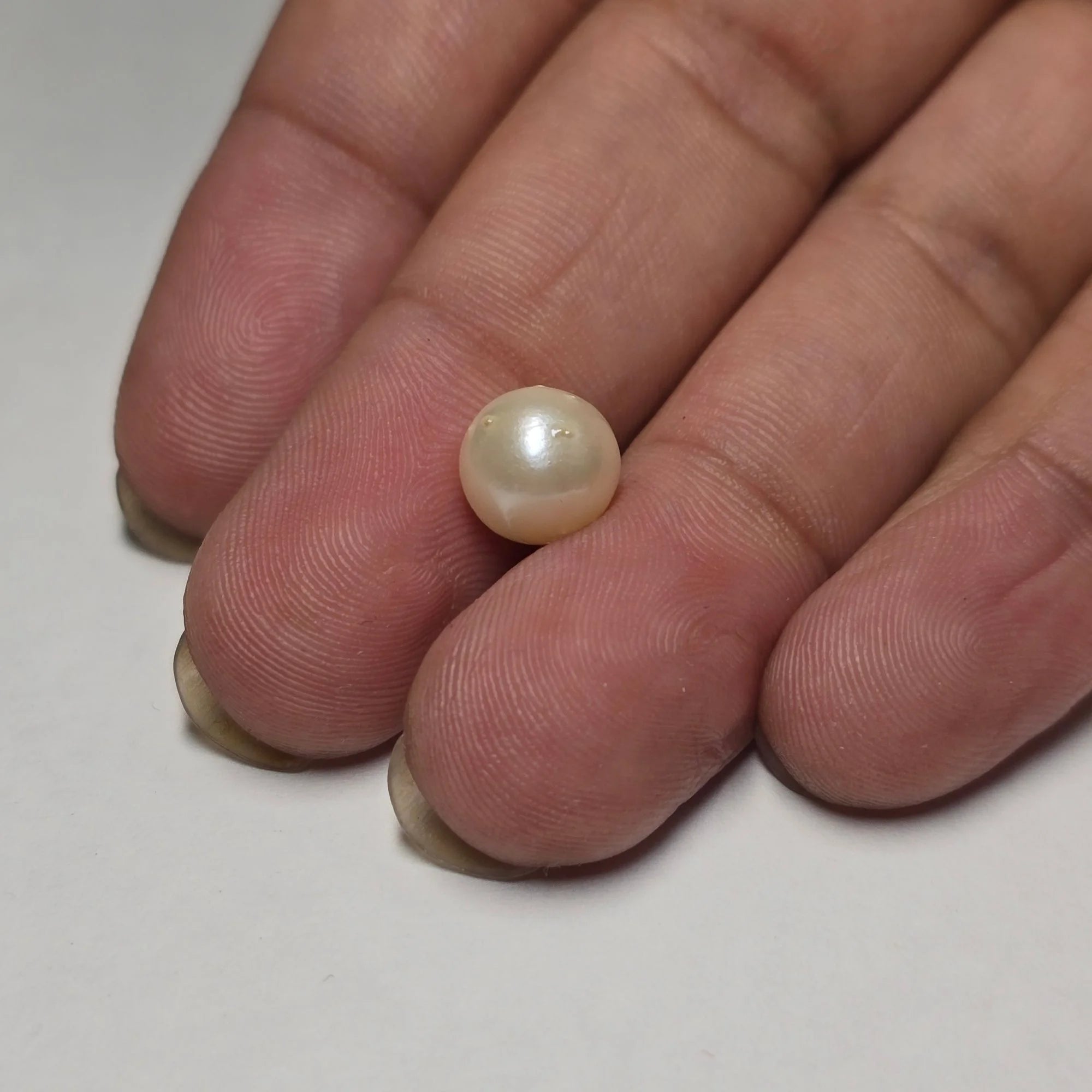 Natural South Sea Pearl 3.72 Carat | Certified Moti
