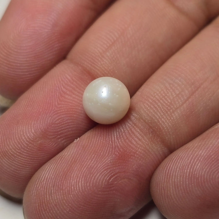 Natural South Sea Pearl (Moti) - 2.95 Carats