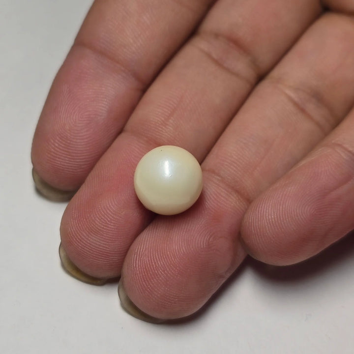 Natural South Sea Pearl (Moti) | 8.30 Carat Certified
