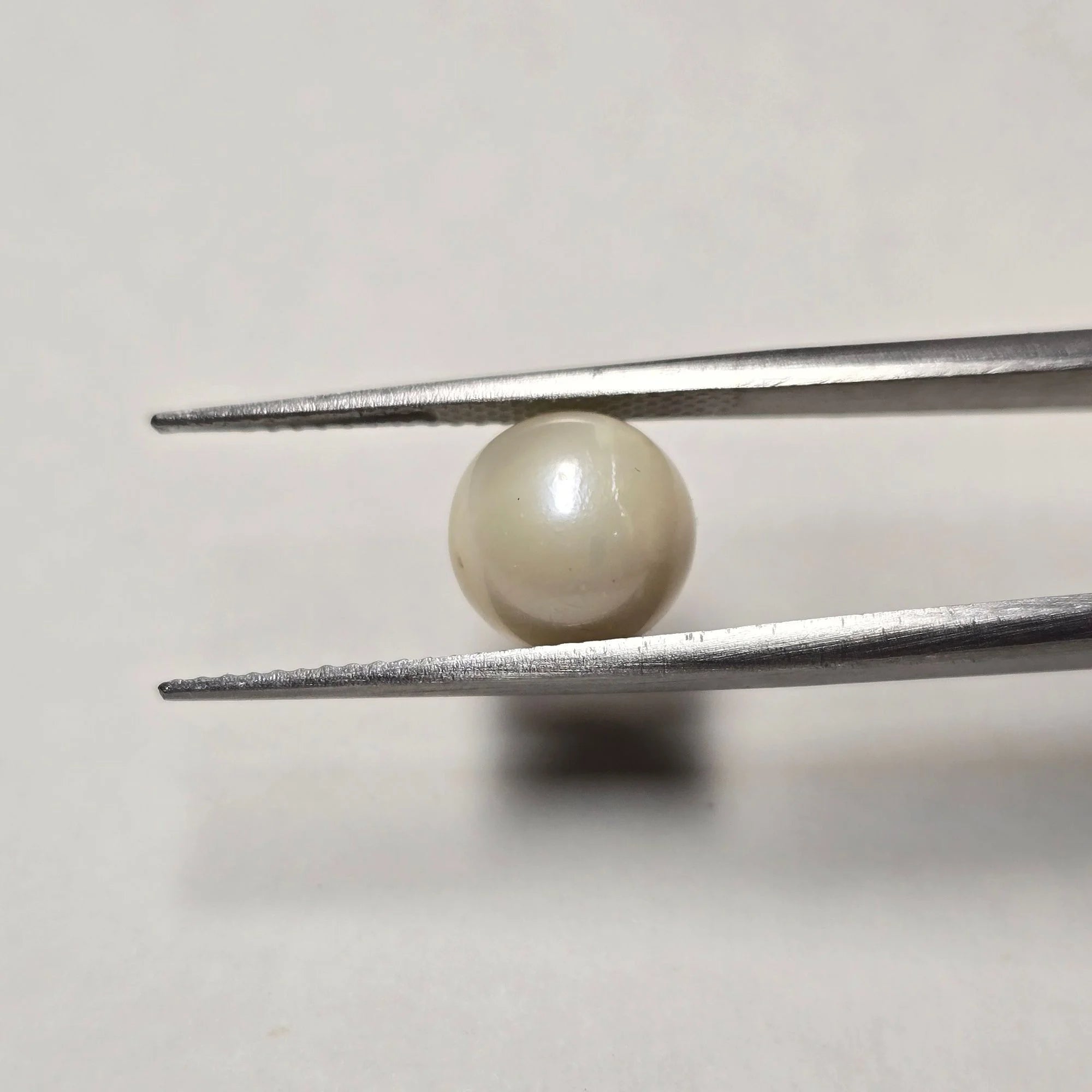 Natural South Sea Pearl (Moti) - 4.27 Carat
