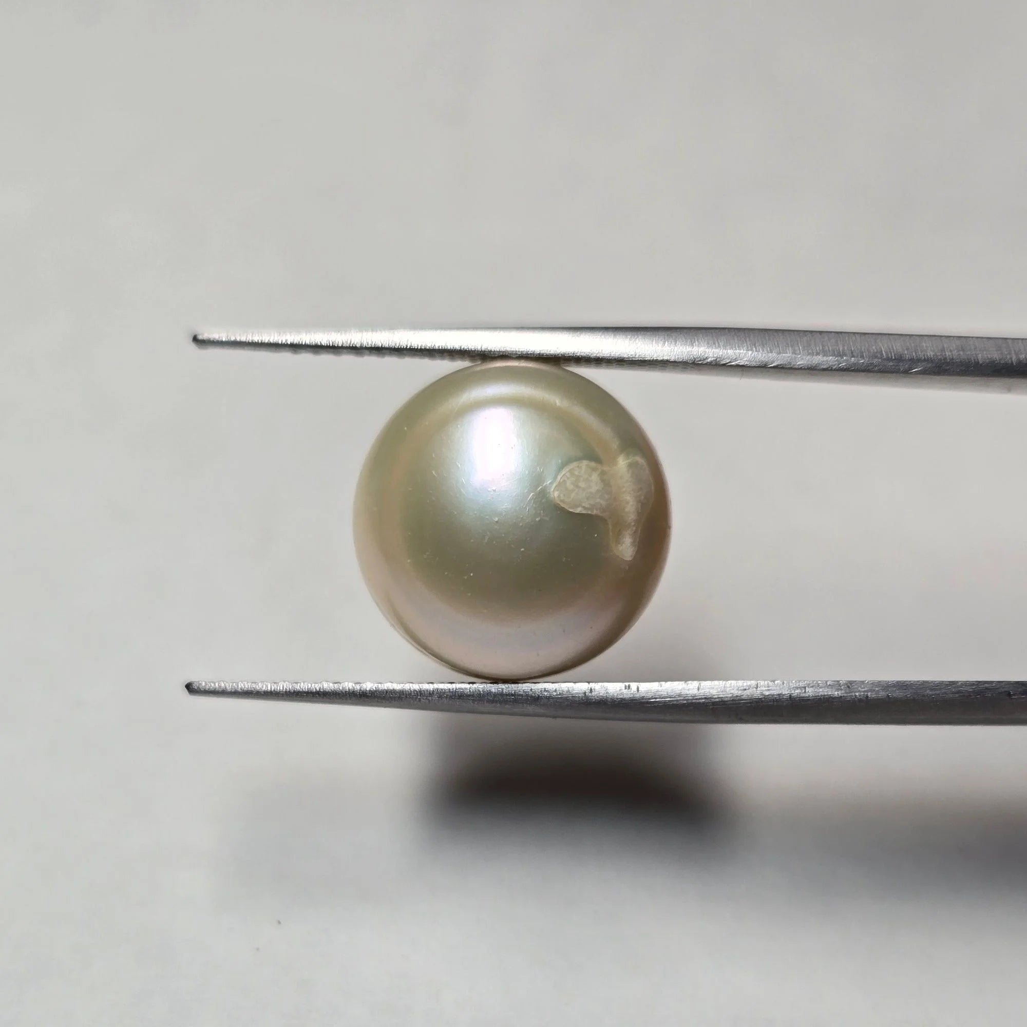 Natural White Pearl (Moti) - 11.99 Carat