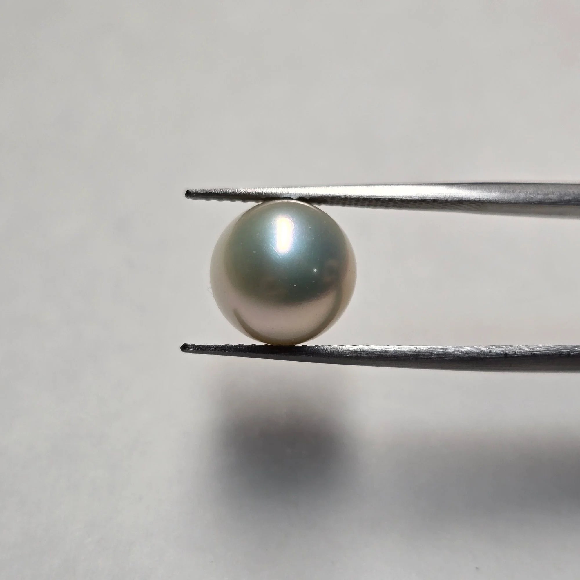 Natural Pearl (Moti) - Certified 7.37 Carats