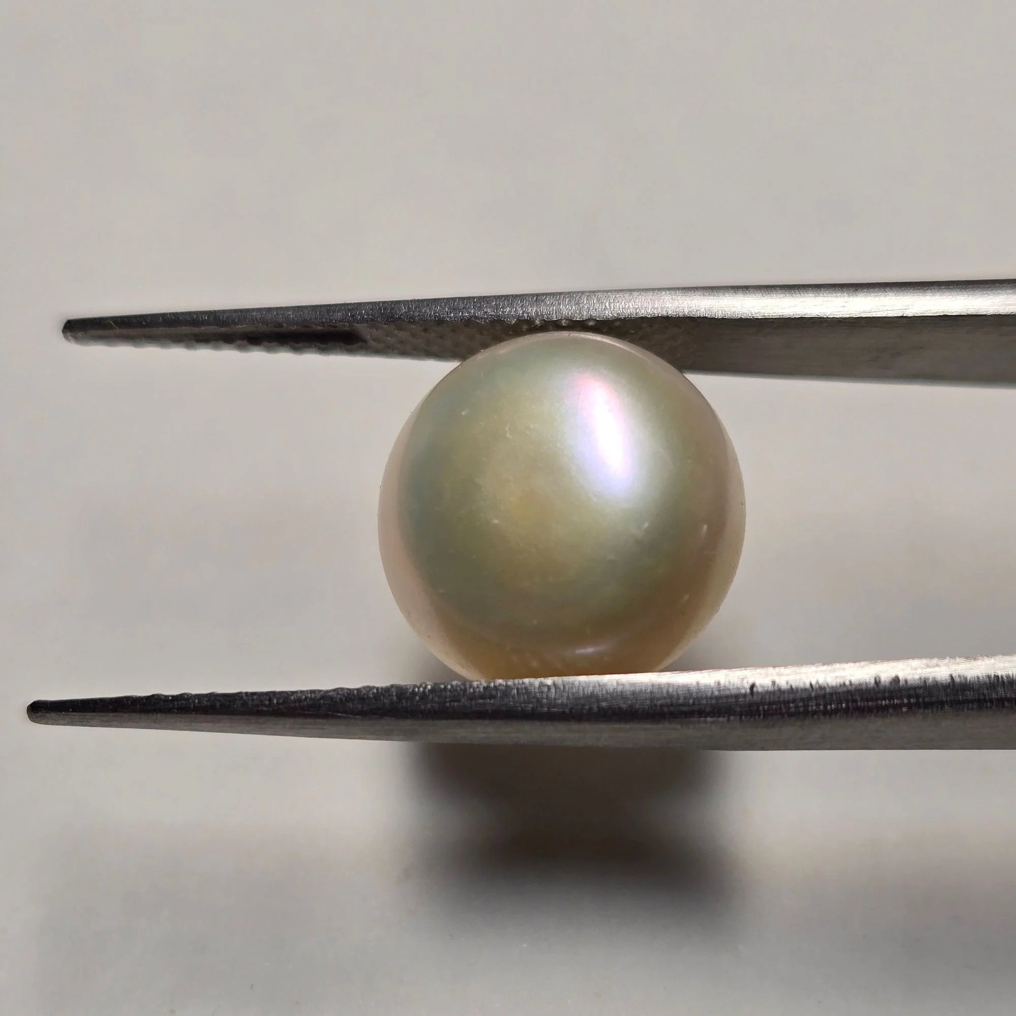 Natural Pearl Moti 7.44 Carat | Certified Round Cabochon