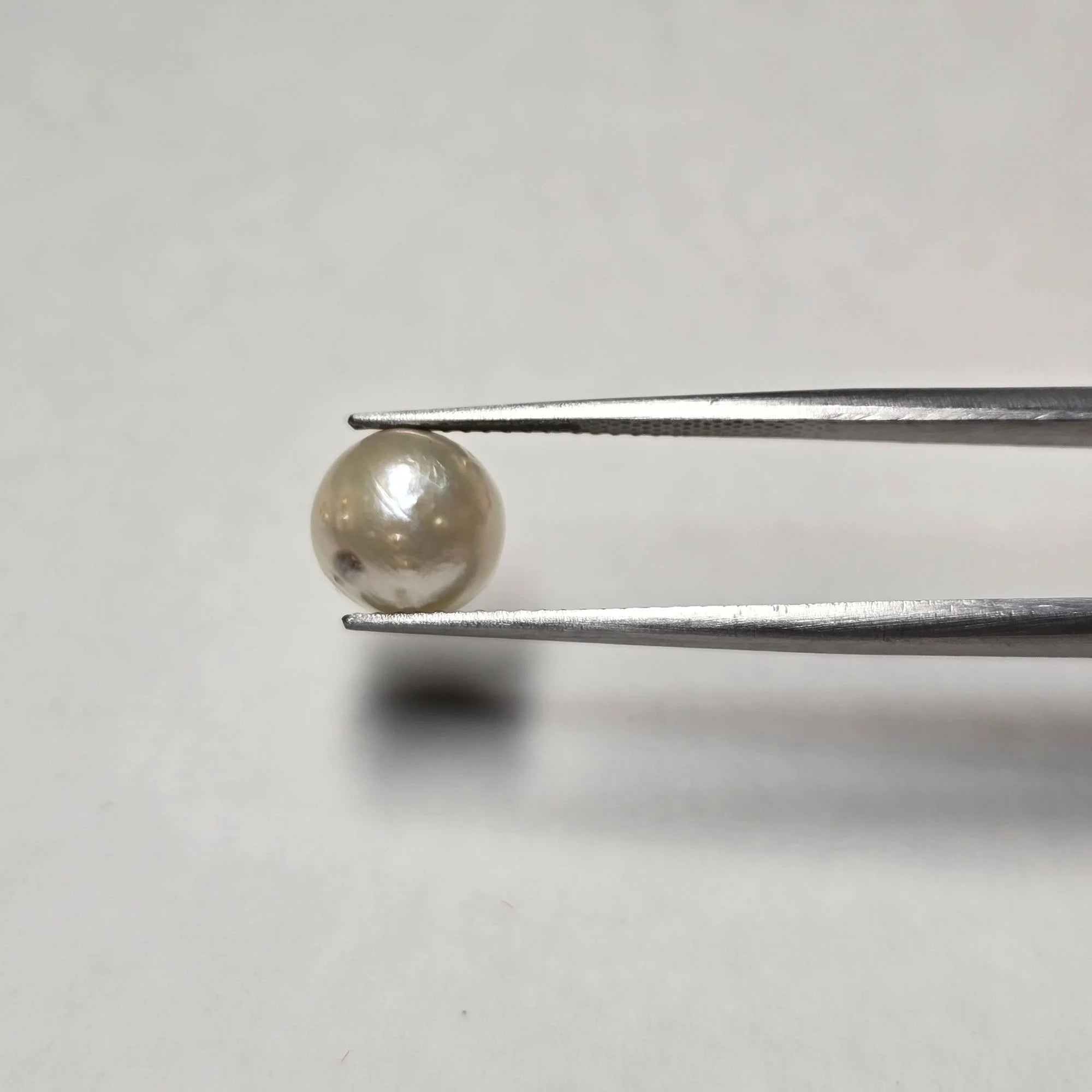 Natural South Sea Pearl 3.72 Carat | Certified Moti