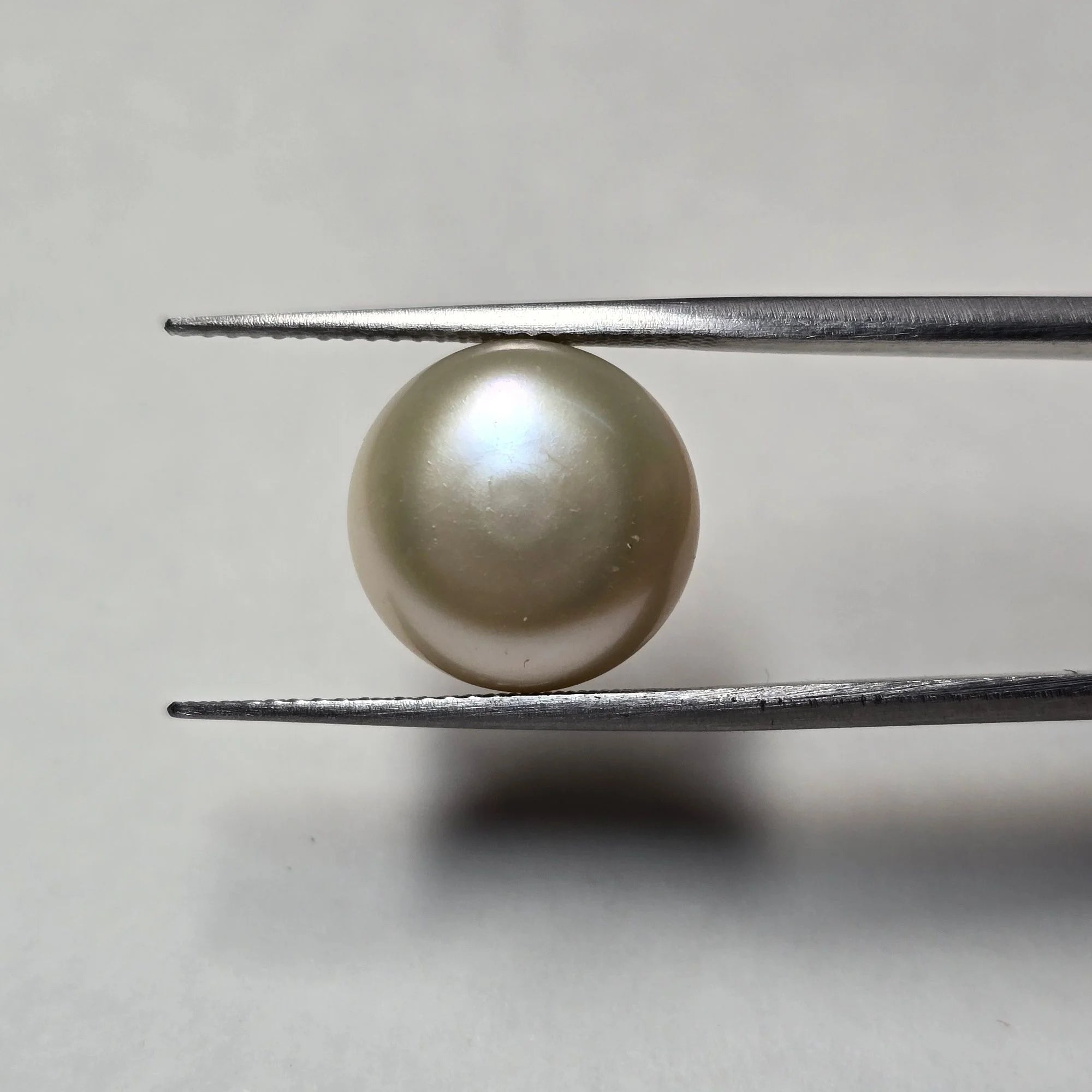 Natural White Pearl (Moti) - 11.99 Carat
