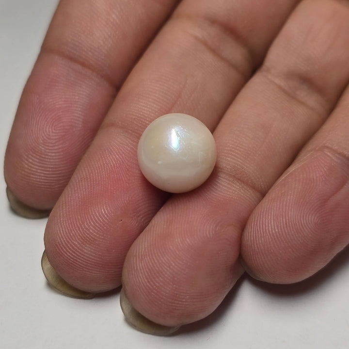 Natural South Sea Pearl (Moti) | 9.66 Ct Certified