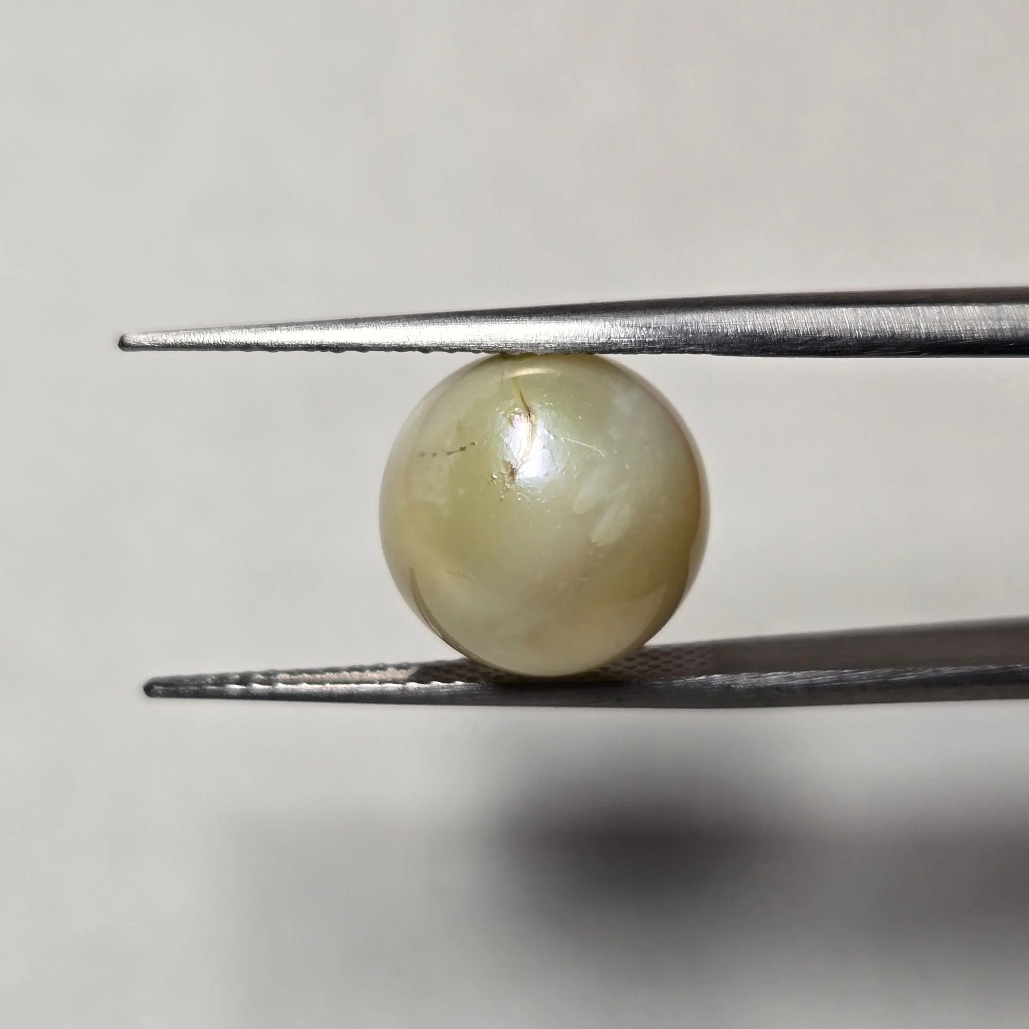 Natural South Sea Pearl (Moti) 10.71 Carats Certified