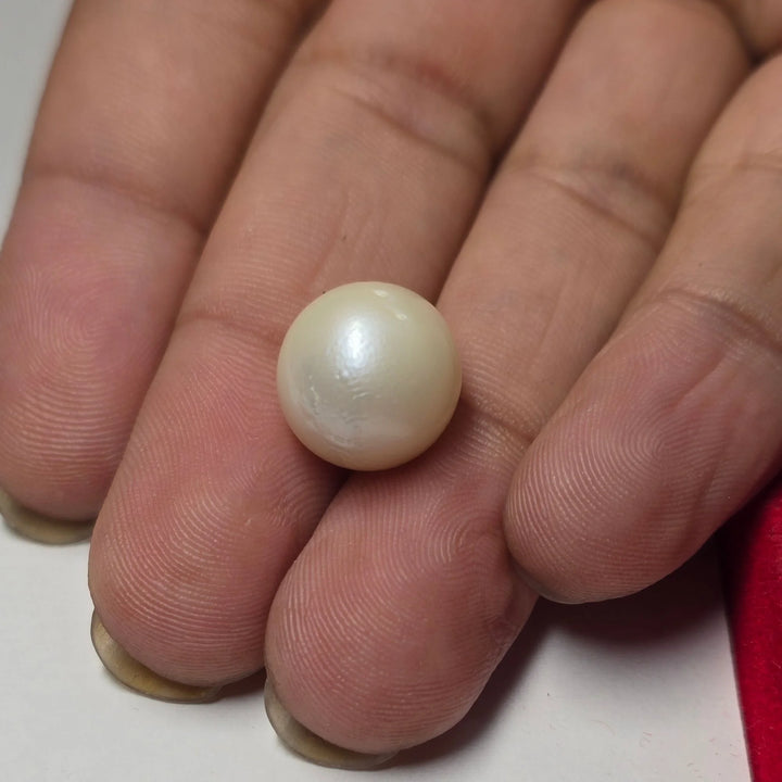 Natural South Sea Pearl (Moti) | 11.80 Carats Certified