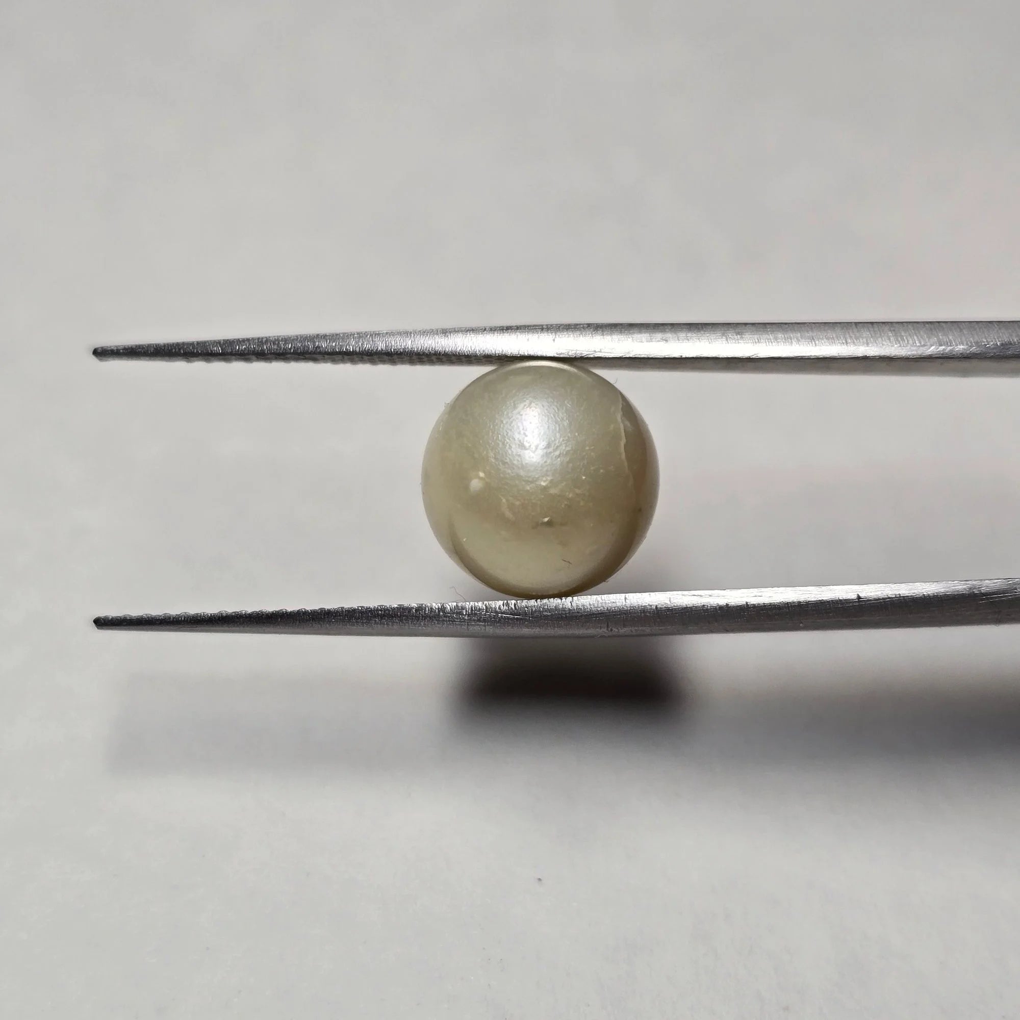 Natural South Sea Pearl (Moti) - 7.68 Carat, White Gemstone