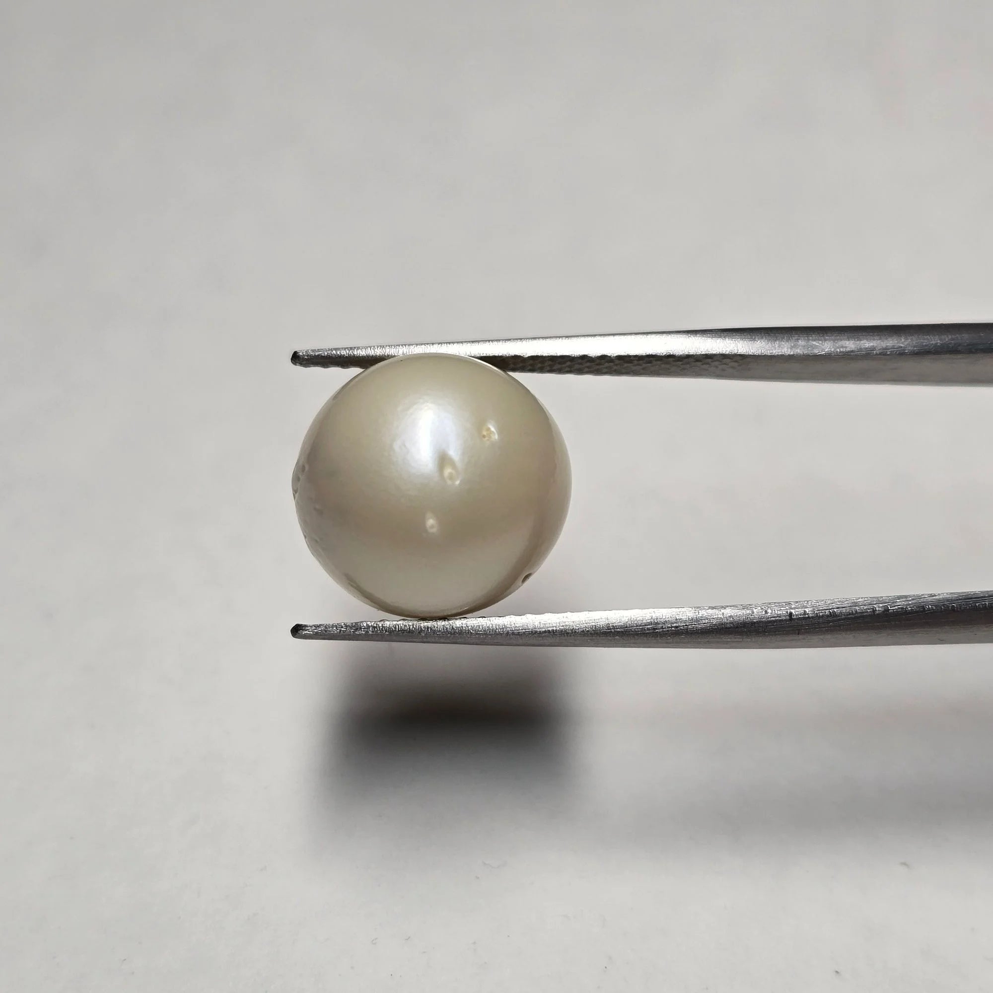 Natural South Sea Pearl (Moti) | 11.80 Carats Certified