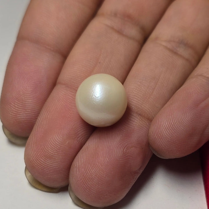 Natural South Sea Pearl (Moti) | 11.80 Carats Certified