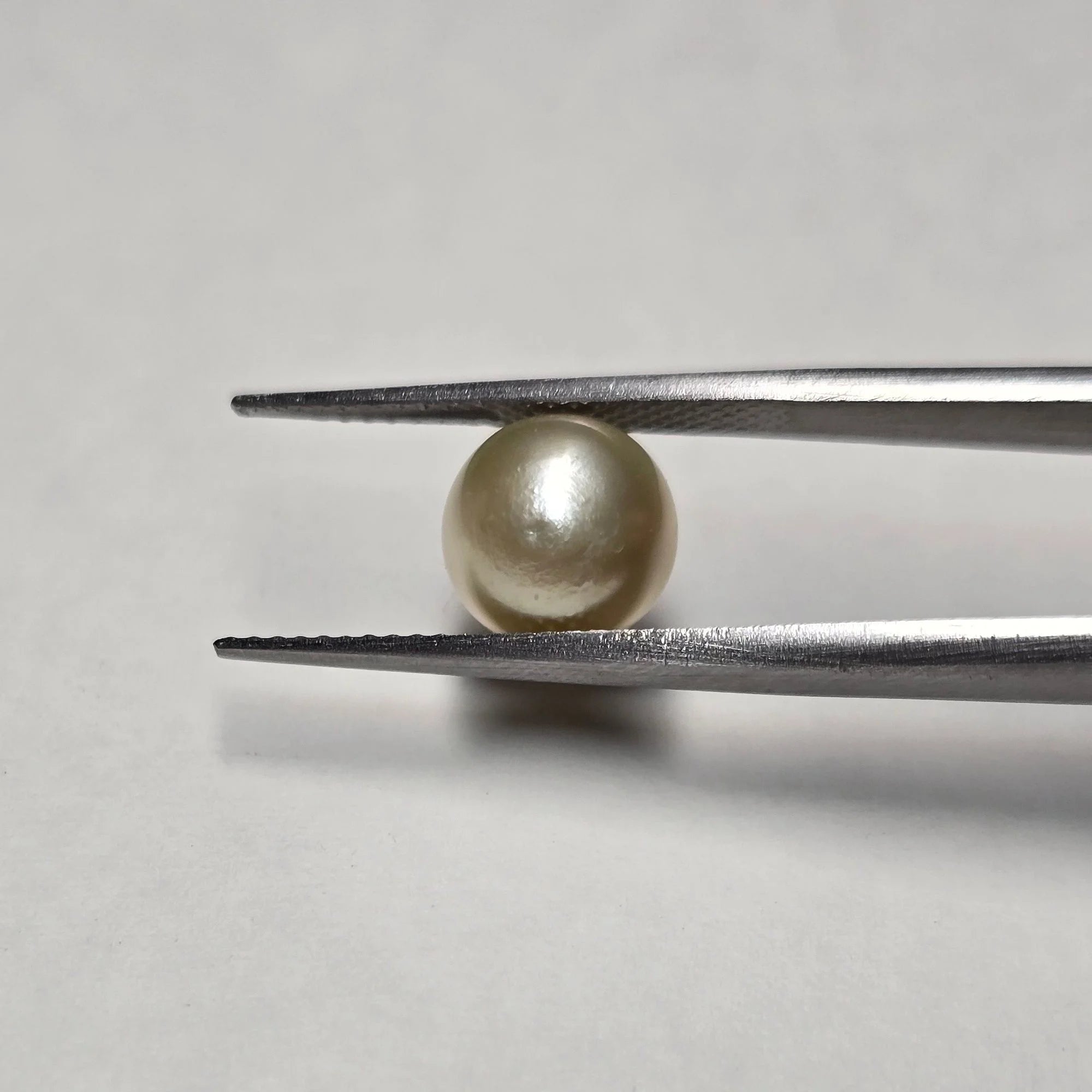 Natural South Sea Pearl (Moti) - 3.98 Carats