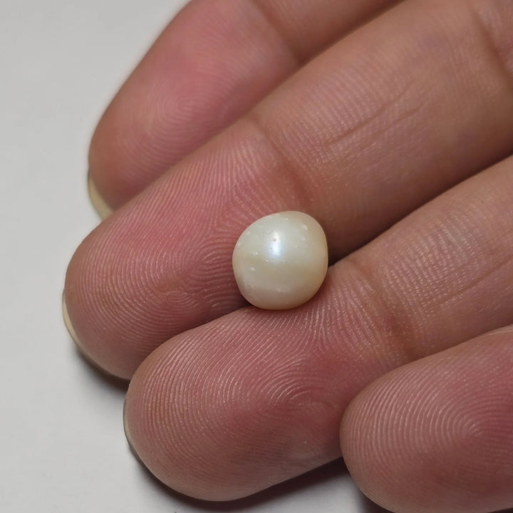 Natural South Sea Pearl (Moti) – 3.49 Carats Certified