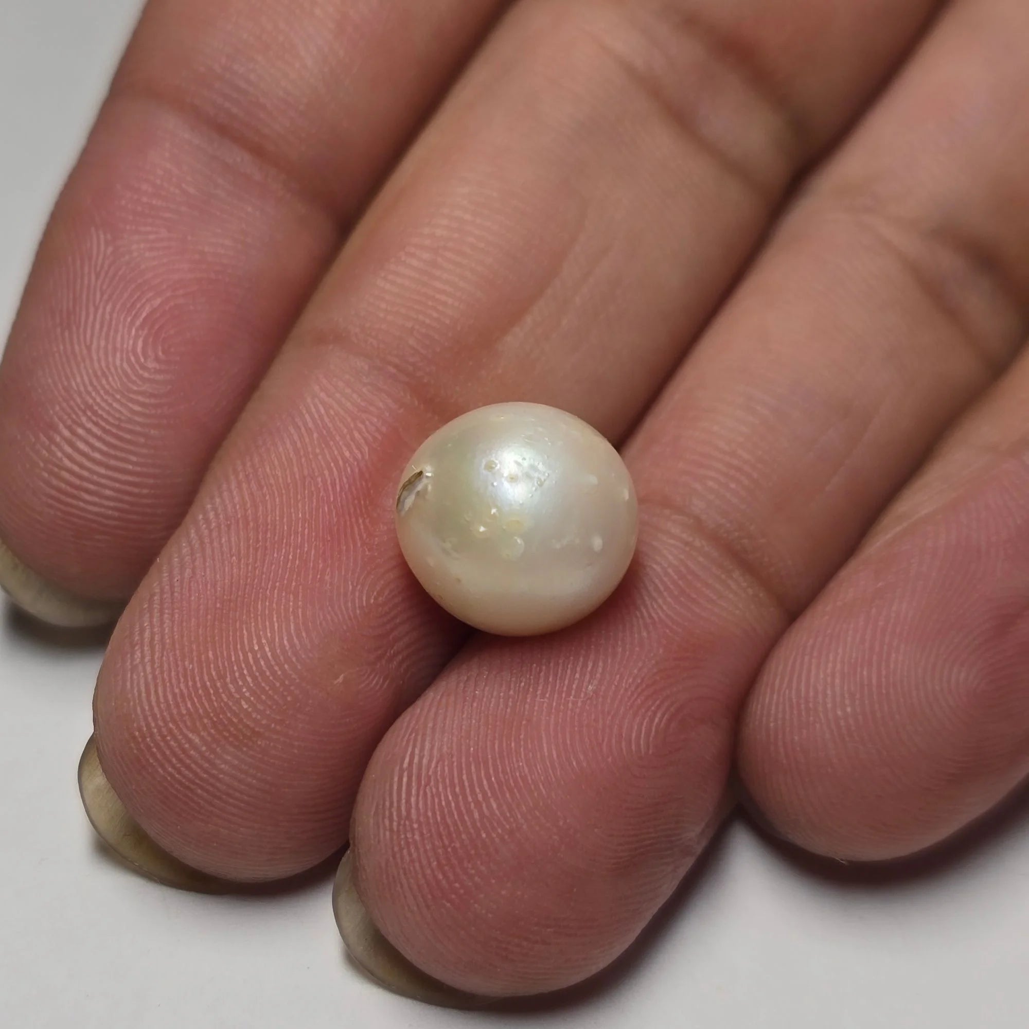 Natural South Sea Pearl (Moti) - 8.13 Carats