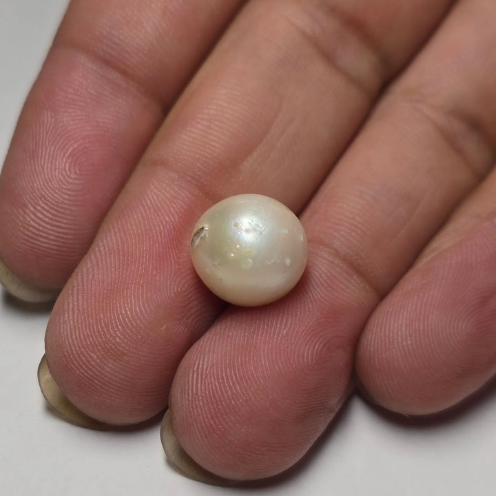 Natural South Sea Pearl (Moti) - 8.13 Carats