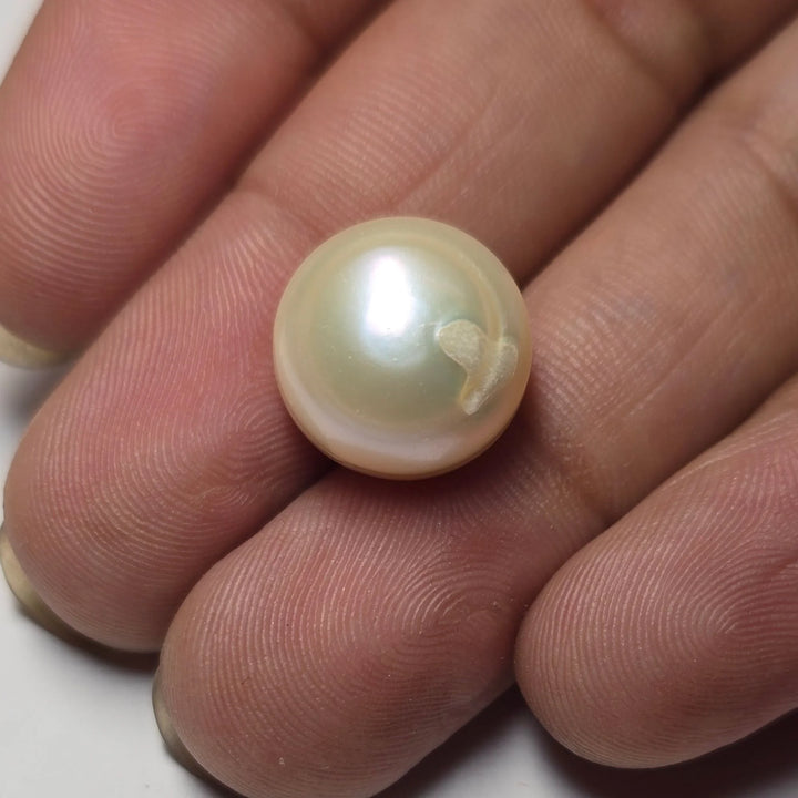 Natural White Pearl (Moti) - 11.99 Carat