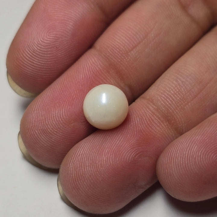Natural South Sea Pearl (Moti) - 4.27 Carat