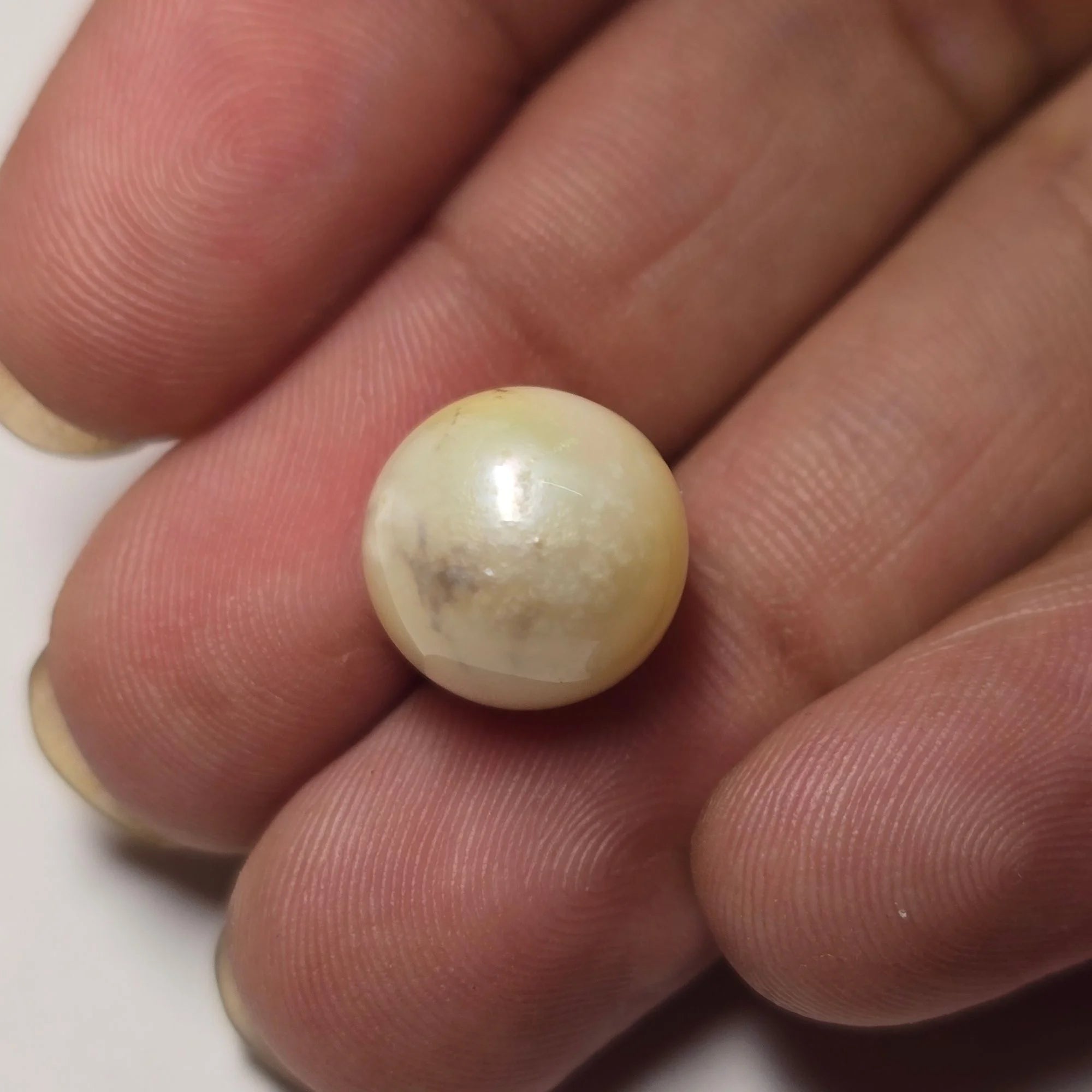 Natural South Sea Pearl (Moti) 10.71 Carats Certified