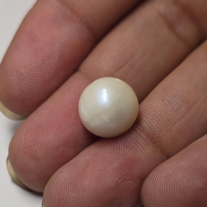 Natural White South Sea Pearl (Moti) - 9.50 Carats Certified