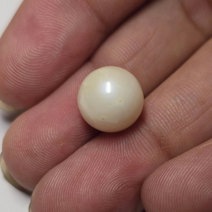 Natural South Sea Pearl (Moti) - 8.55 Carats