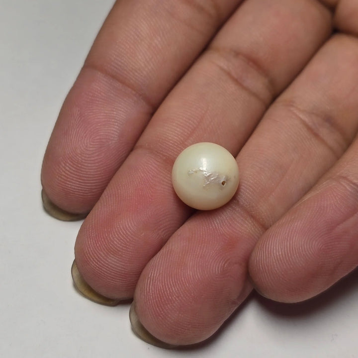 Natural South Sea Pearl (Moti) | 8.30 Carat Certified