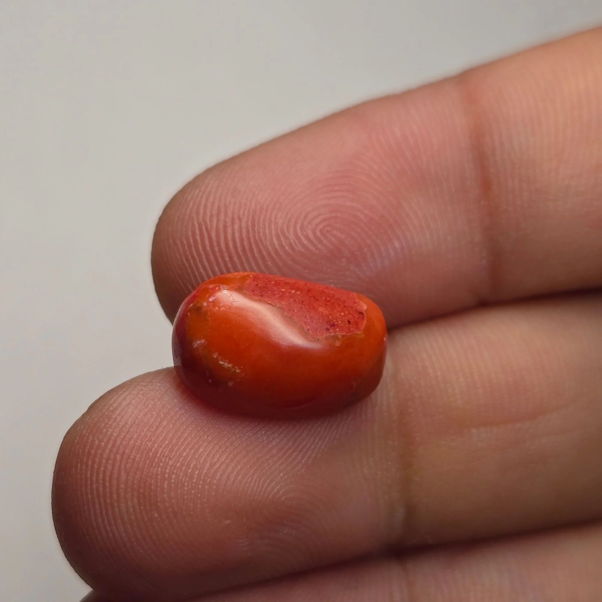 Natural Italian Coral (Munga) 3.80 Carats Certified
