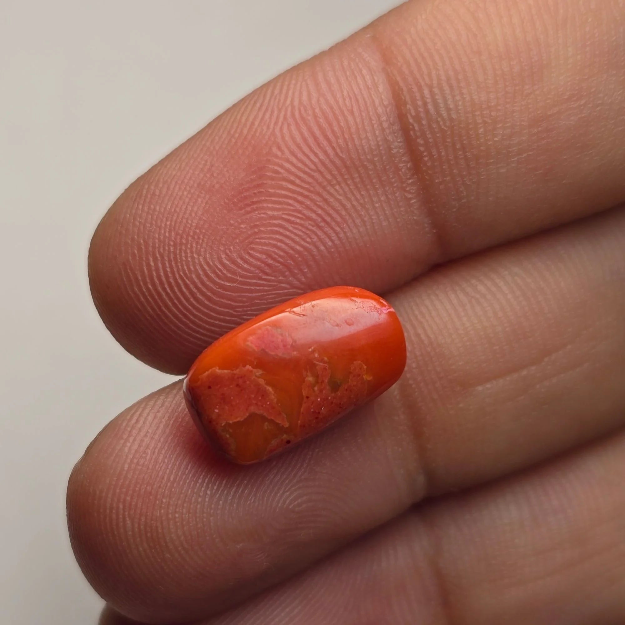 Natural Italian Coral (Munga) – 4.57 Ct Certified Red Coral