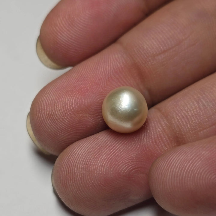 Natural South Sea Pearl (Moti) - 3.98 Carats
