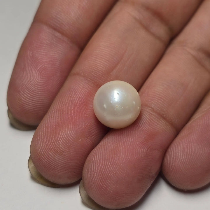 Natural South Sea Pearl (Moti) - 8.13 Carats