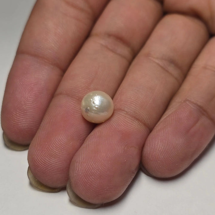 Natural South Sea Pearl 3.72 Carat | Certified Moti