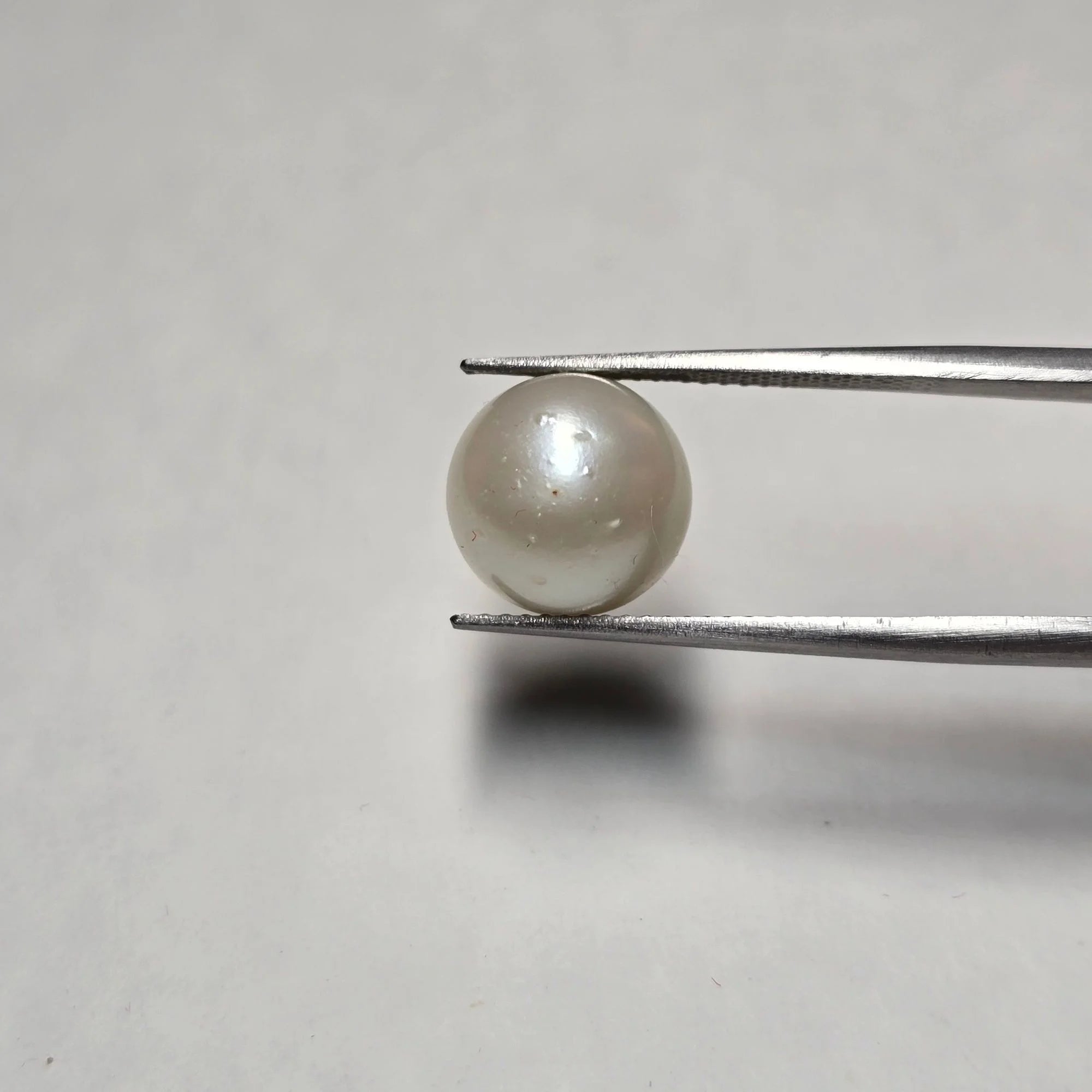 Natural South Sea Pearl (Moti) - 8.13 Carats