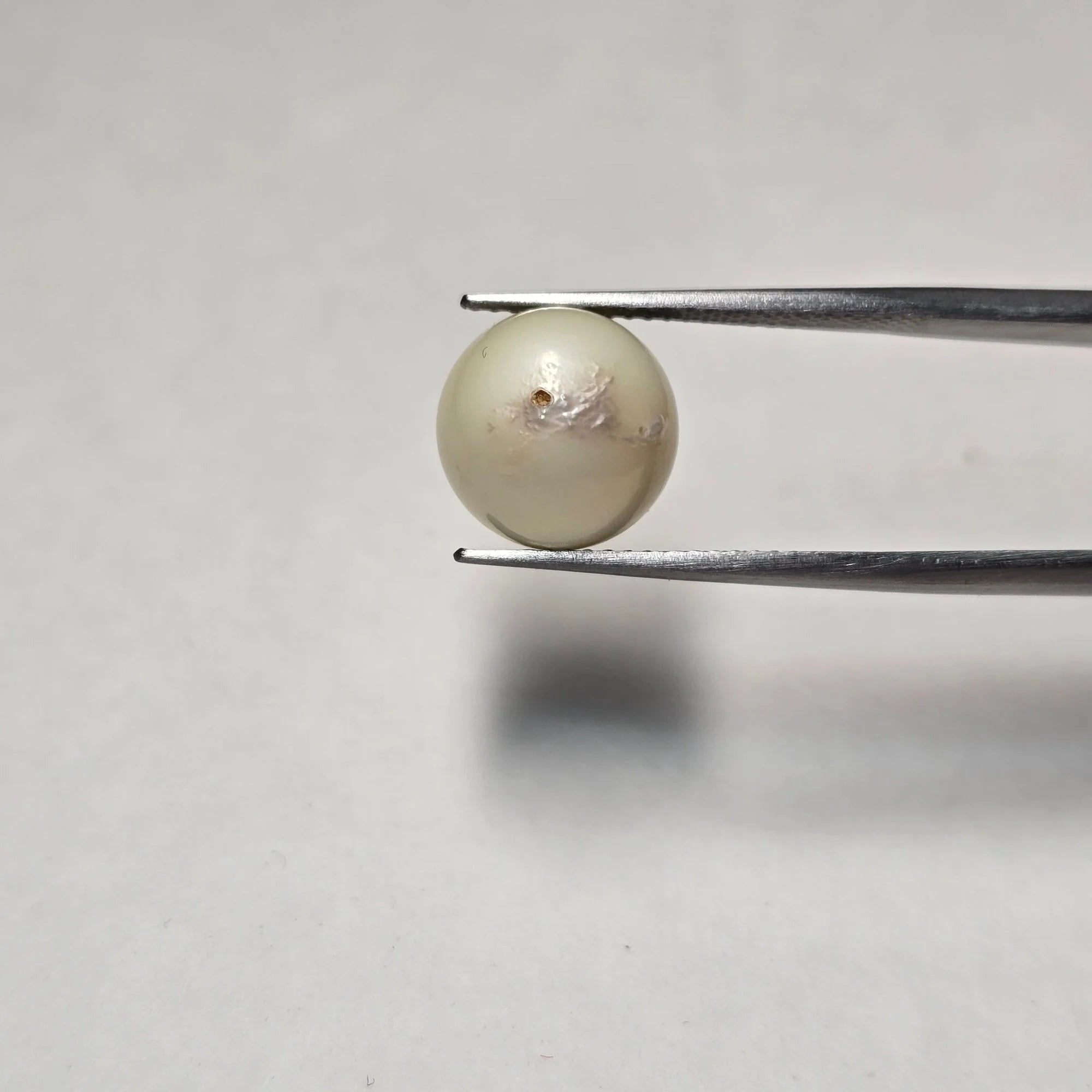 Natural South Sea Pearl (Moti) | 8.30 Carat Certified