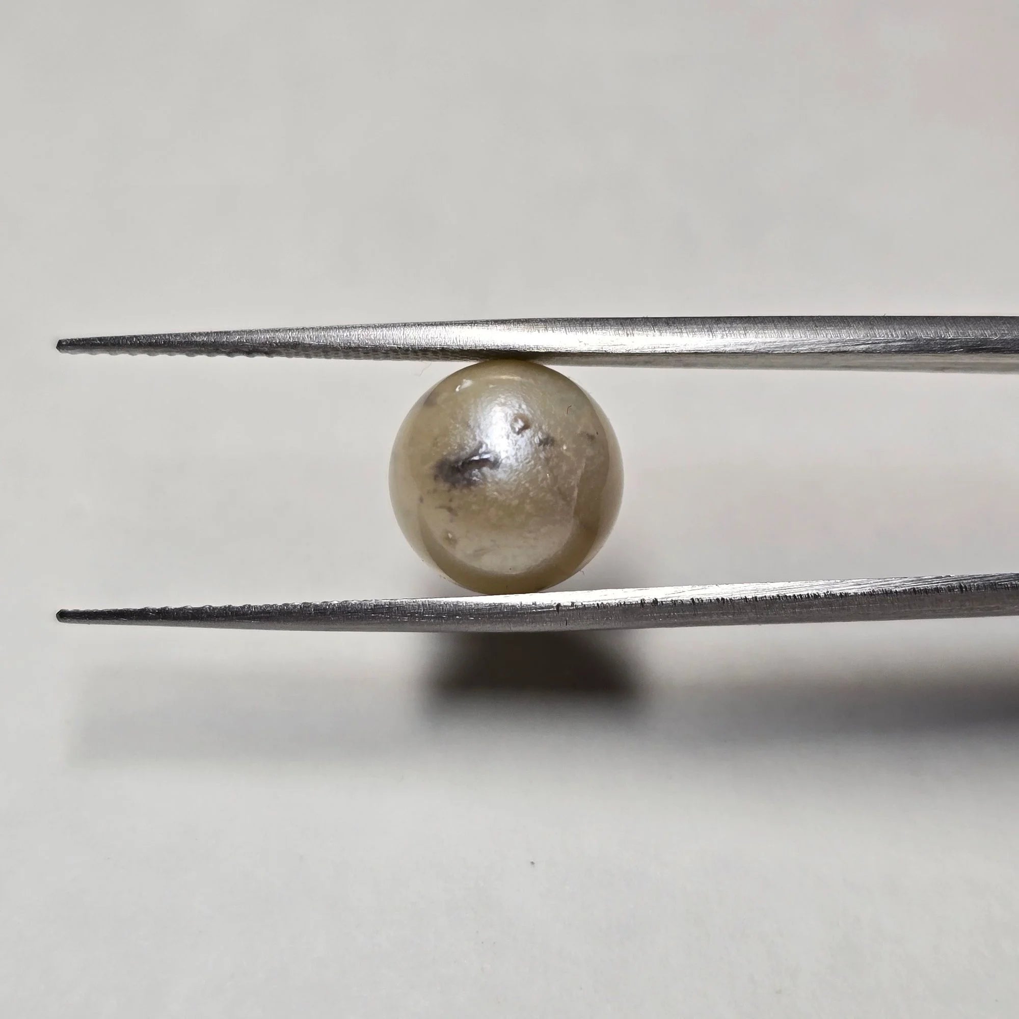 Natural South Sea Pearl (Moti) - 7.68 Carat, White Gemstone