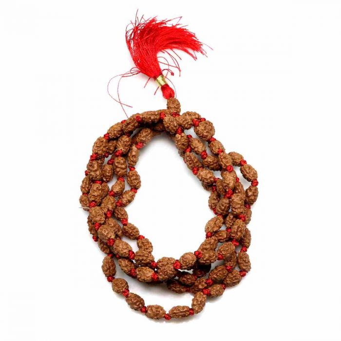 2 Mukhi Rudraksha Mala (108+1 Beads)