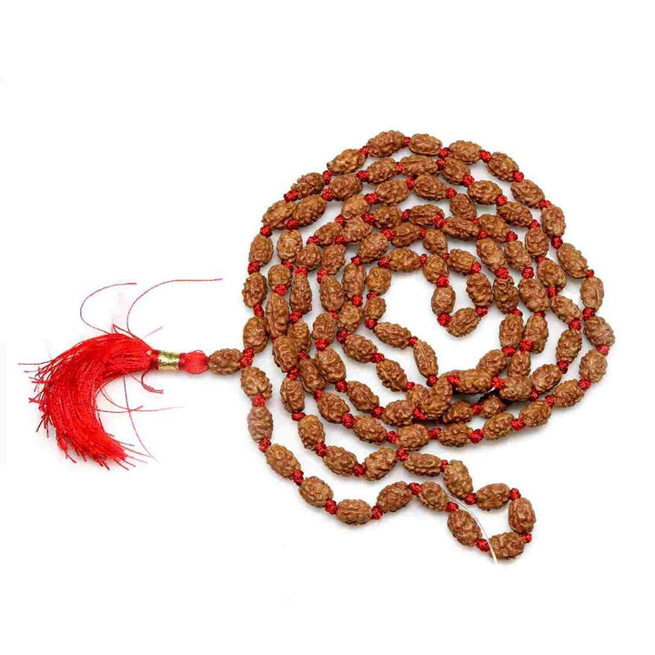 2 Mukhi Rudraksha Mala (108+1 Beads)