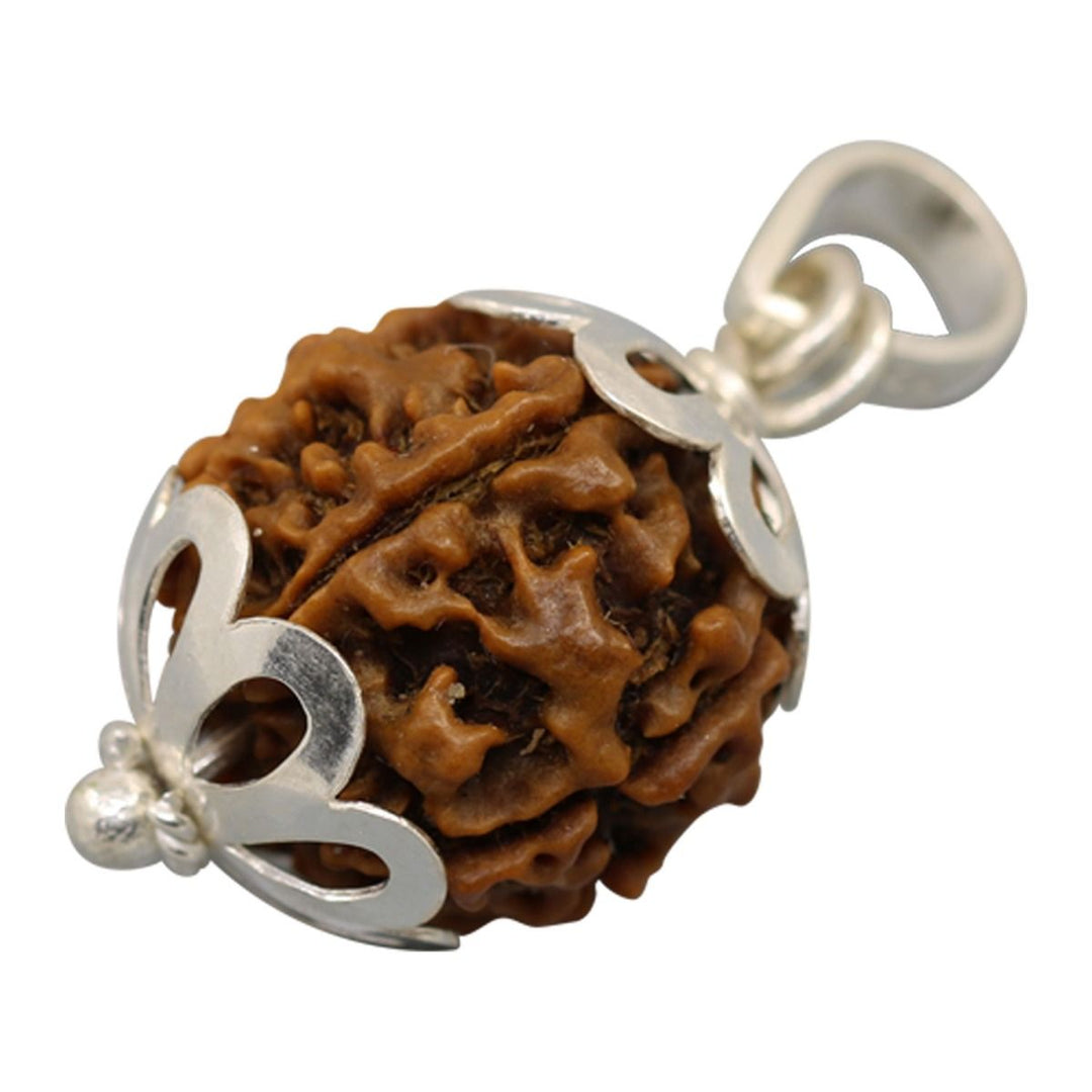 6 Mukhi Rudraksha Silver Pendant (Nepal)