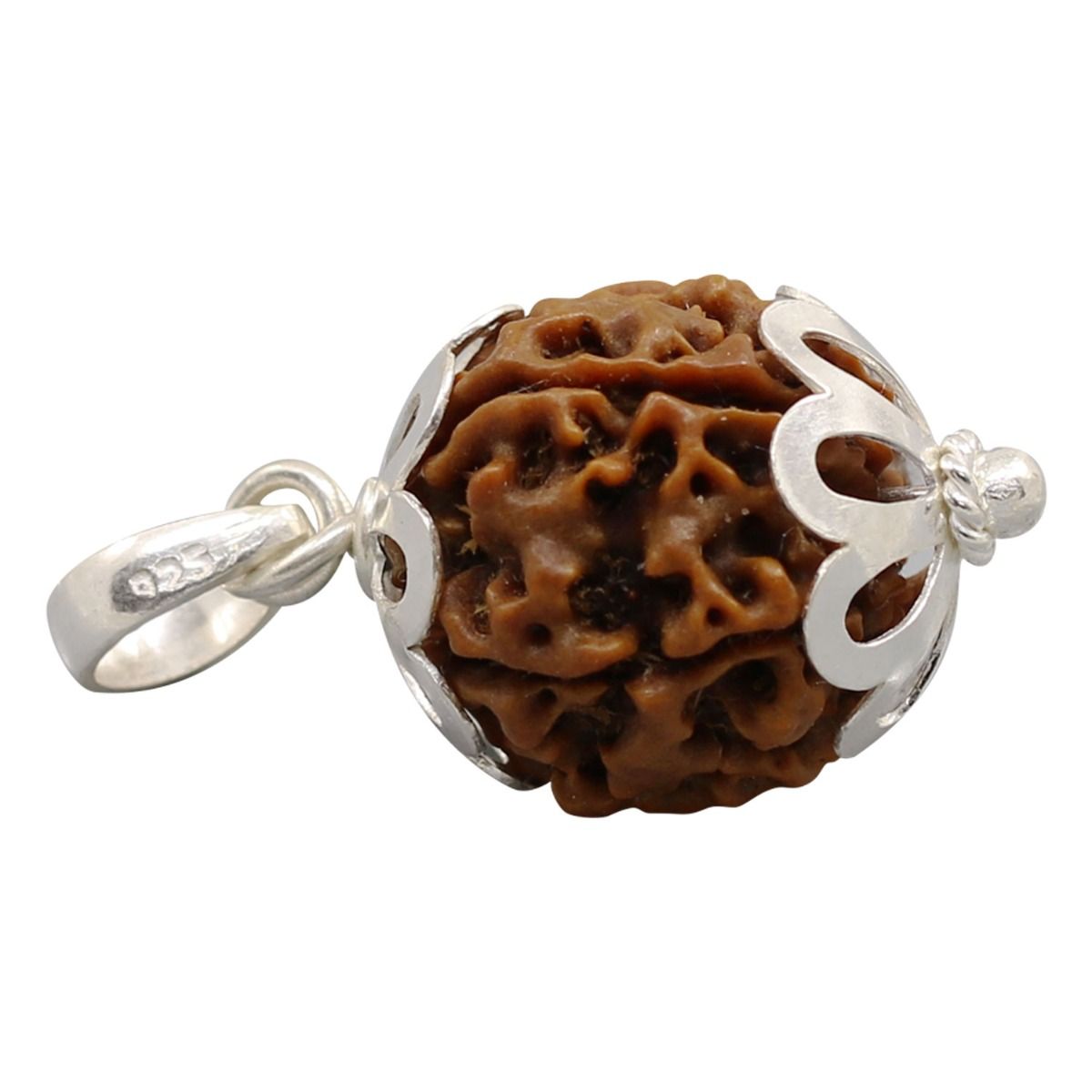 6 Mukhi Rudraksha Silver Pendant (Nepal)