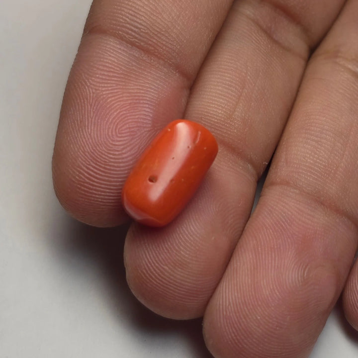 Natural Italian Red Coral (Munga) 6.18 Carat Online | Certified