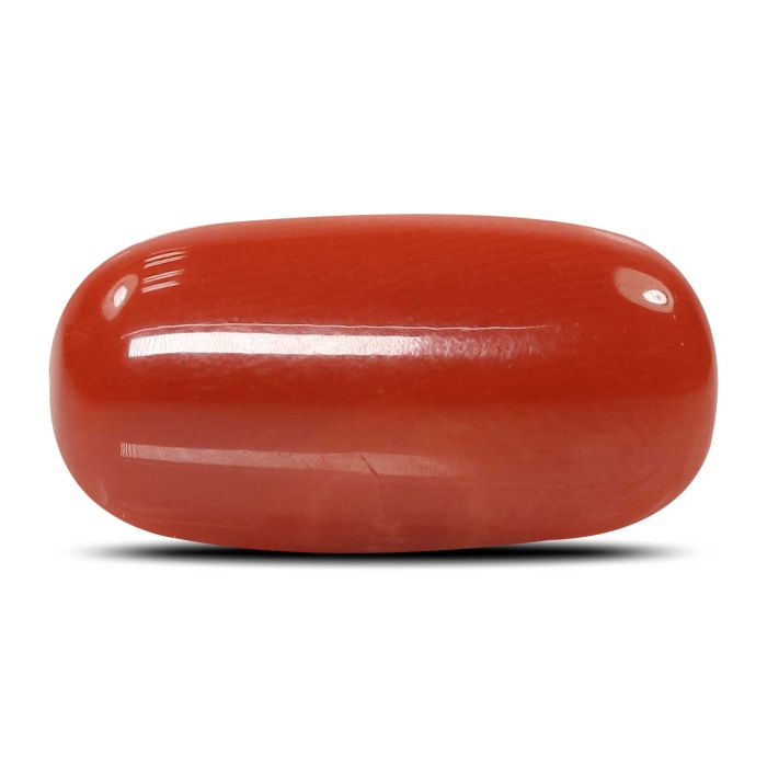 Red Coral (Moonga) - 7.99 Carat